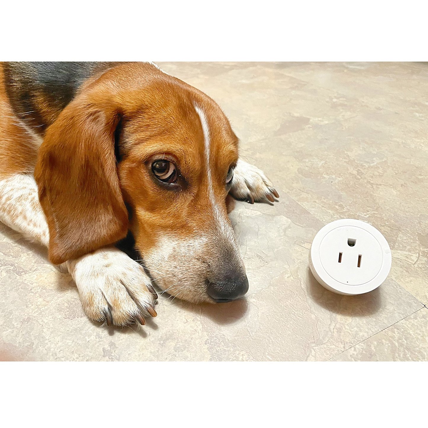 INSTACHEW, Pureconnect Smart Plug, App Enabled, Google Assistant and